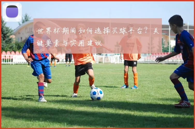 世界杯期间如何选择买球平台?关键要素与实用建议