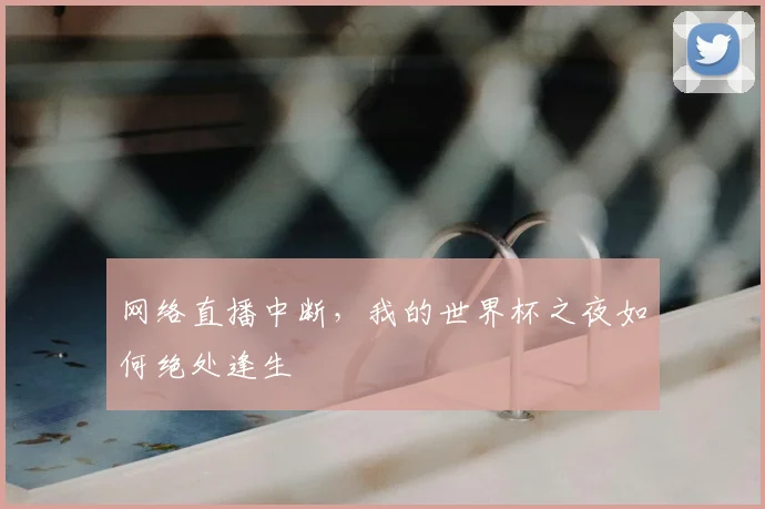 网络直播中断,我的世界杯之夜如何绝处逢生