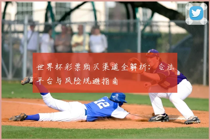 世界杯彩票购买渠道全解析:合法平台与风险规避指南