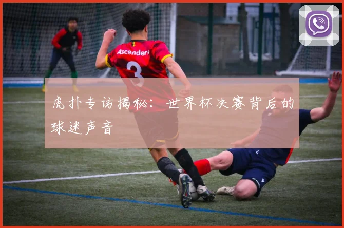 虎扑专访揭秘：世界杯决赛背后的球迷声音