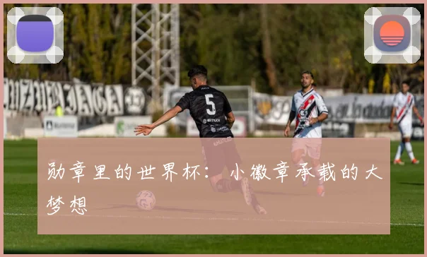 勋章里的世界杯：小徽章承载的大梦想