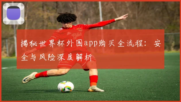 揭秘世界杯外围app购买全流程：安全与风险深度解析