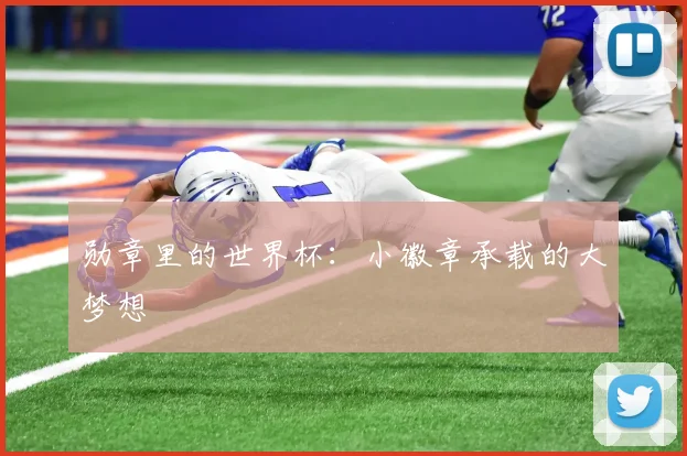 勋章里的世界杯：小徽章承载的大梦想