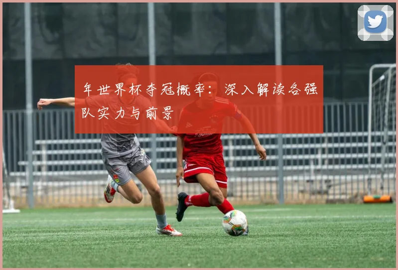 年世界杯夺冠概率:深入解读各强队实力与前景