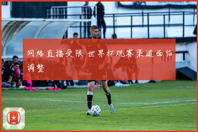 网络直播受限 世界杯观赛渠道面临调整