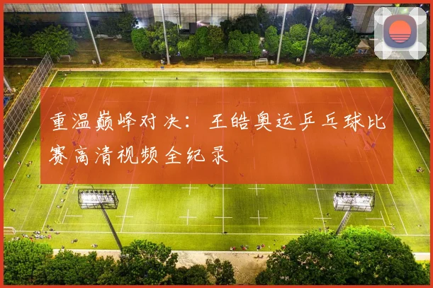 重温巅峰对决：王皓奥运乒乓球比赛高清视频全纪录