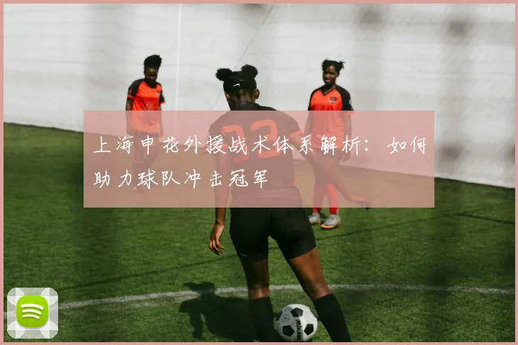 上海申花外援战术体系解析：如何助力球队冲击冠军