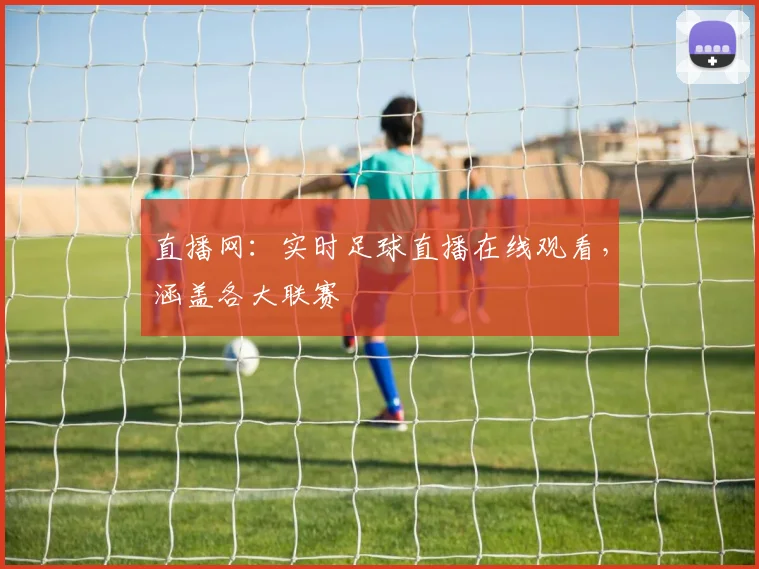 直播网：实时足球直播在线观看，涵盖各大联赛