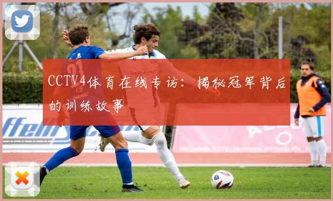 CCTV4体育在线专访：揭秘冠军背后的训练故事