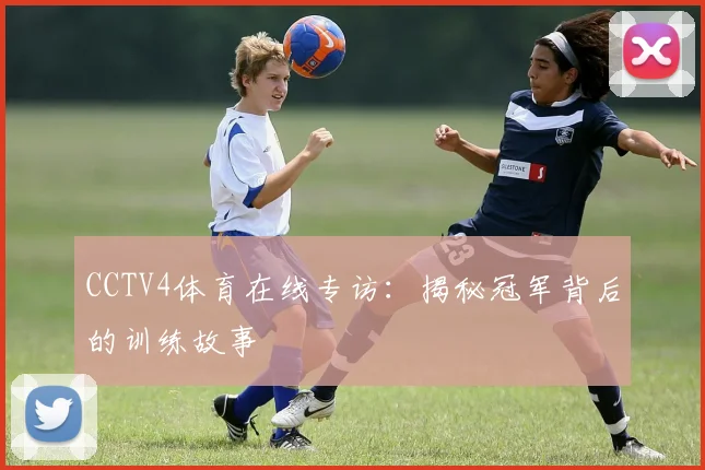 CCTV4体育在线专访：揭秘冠军背后的训练故事