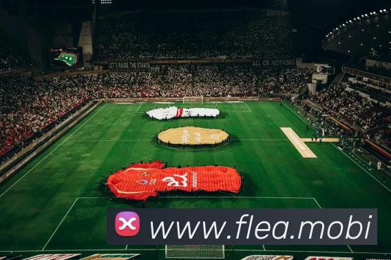 星空官网免费入口平台生态图