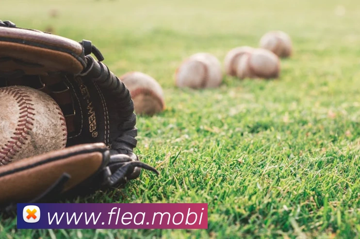 星空官网免费入口全站App